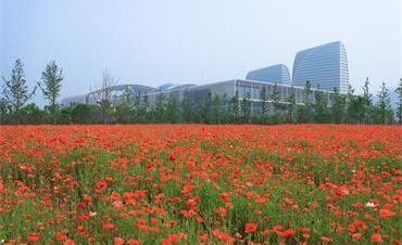 聚焦花園經(jīng)濟引領(lǐng)健康生活 2020花園大會(huì )舉辦